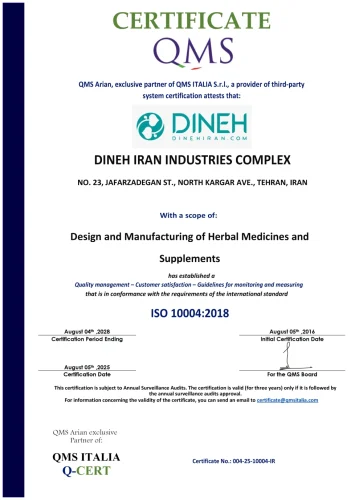ISO 10004