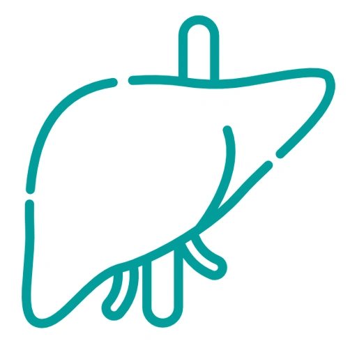liver health