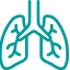 respiratory medicine