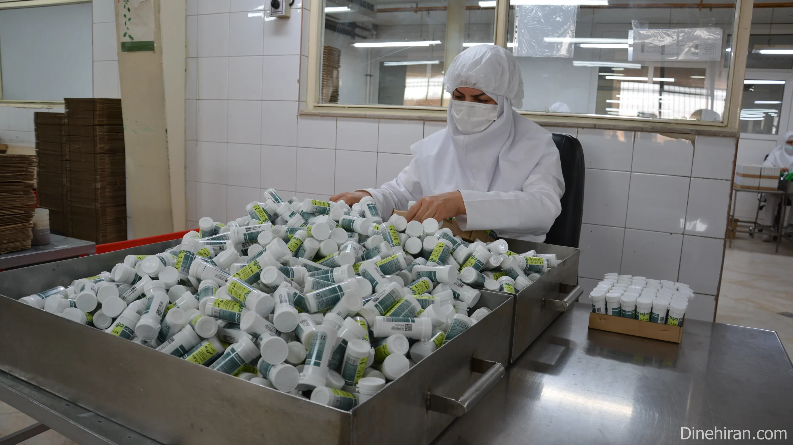 Dineh Iran Industries Complex