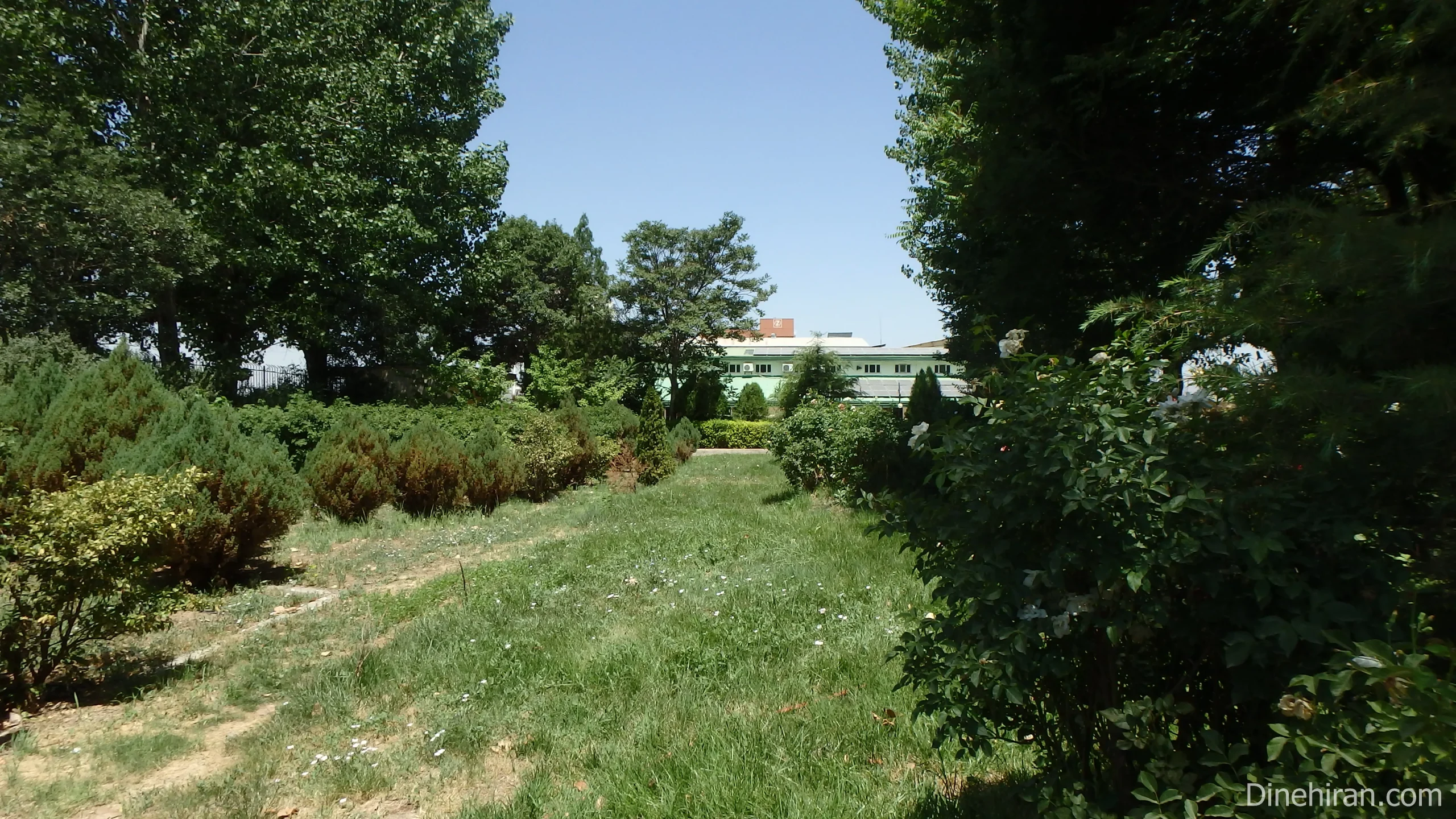 Dineh Iran Industries Complex