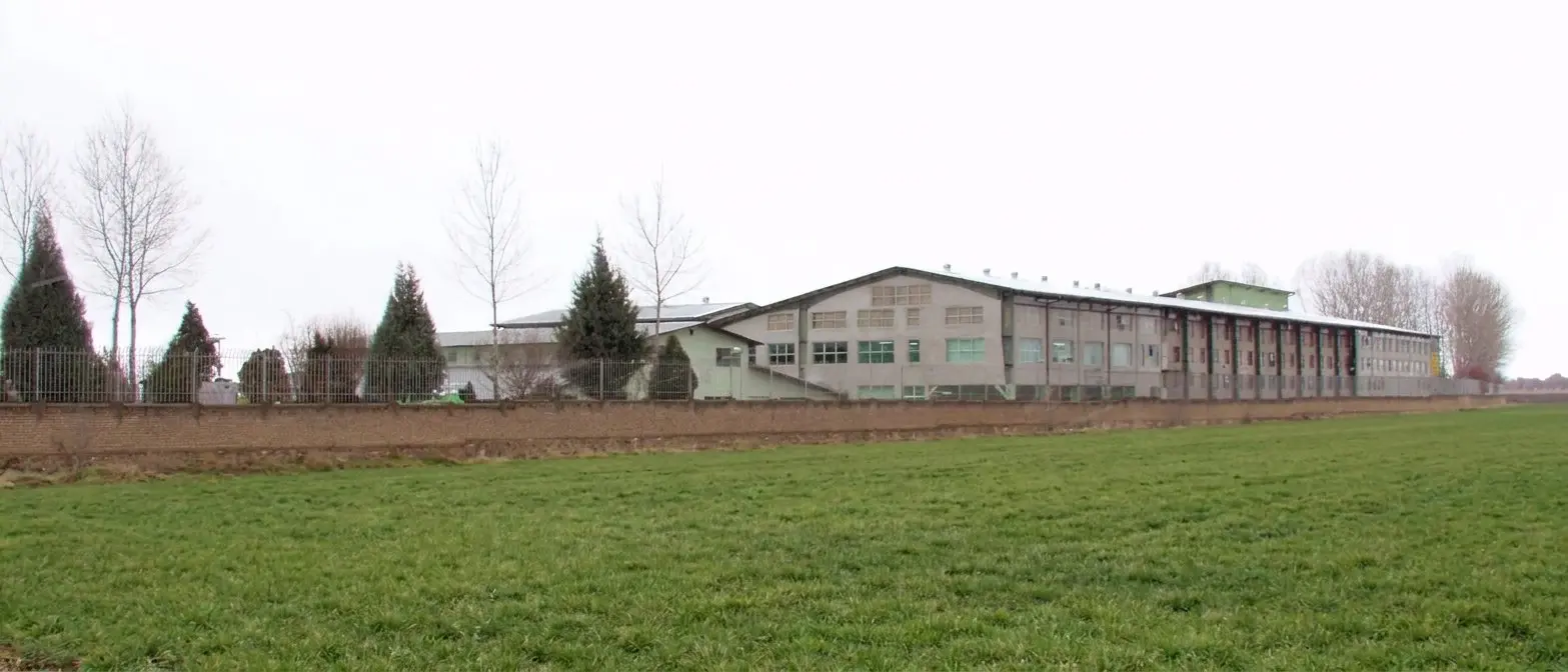 factory of dineh